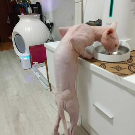 Apartament Casa De Ciss Madryt Zewnętrze zdjęcie