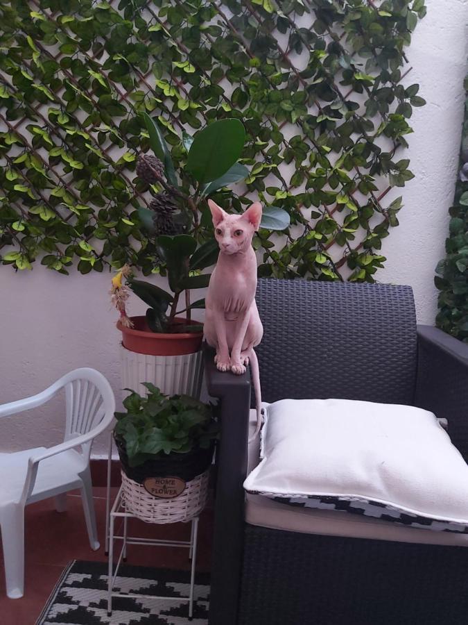 Apartament Casa De Ciss Madryt Zewnętrze zdjęcie